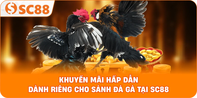 khuyến mãi hấp dẫn dành riêng cho sảnh Đá gà tại SC88